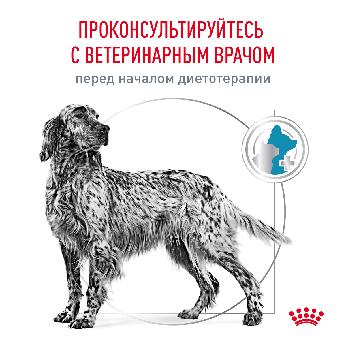 Royal Canin Корм сухой для взрослых собак при пищевой аллергии, SENSITIVITY CONTROL (СЕНСИТИВИТИ КОНТРОЛ), 1,5 кг