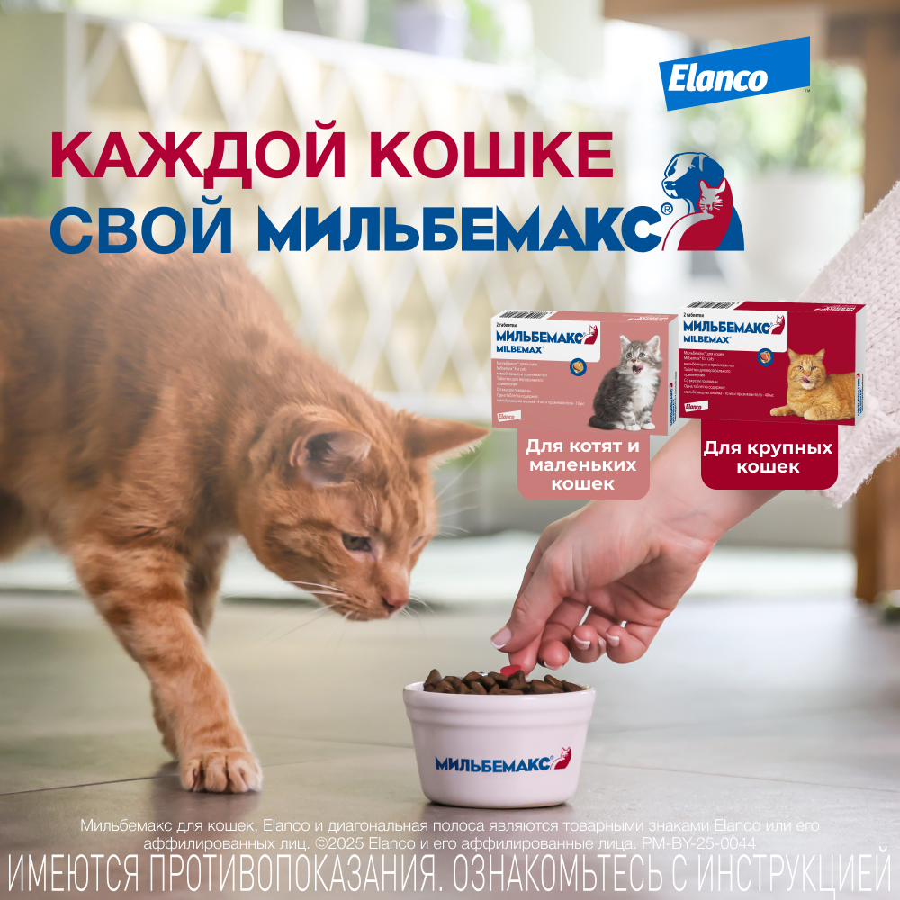 Мильбемакс таблетки антигельминтные для кошек 4-8 кг, 2 таблетка