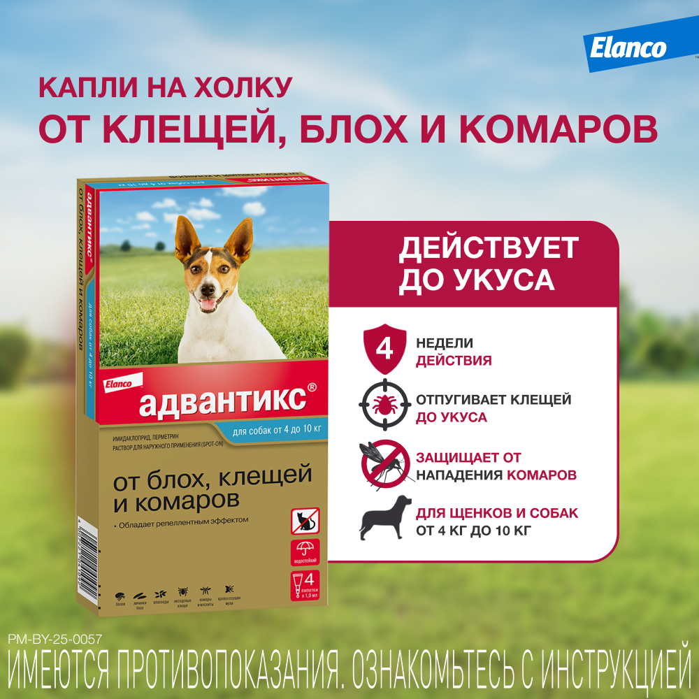 Адвантикс 100 капли инсектоакарицидные для собак 4-10 кг 1 уп. (1 пип)