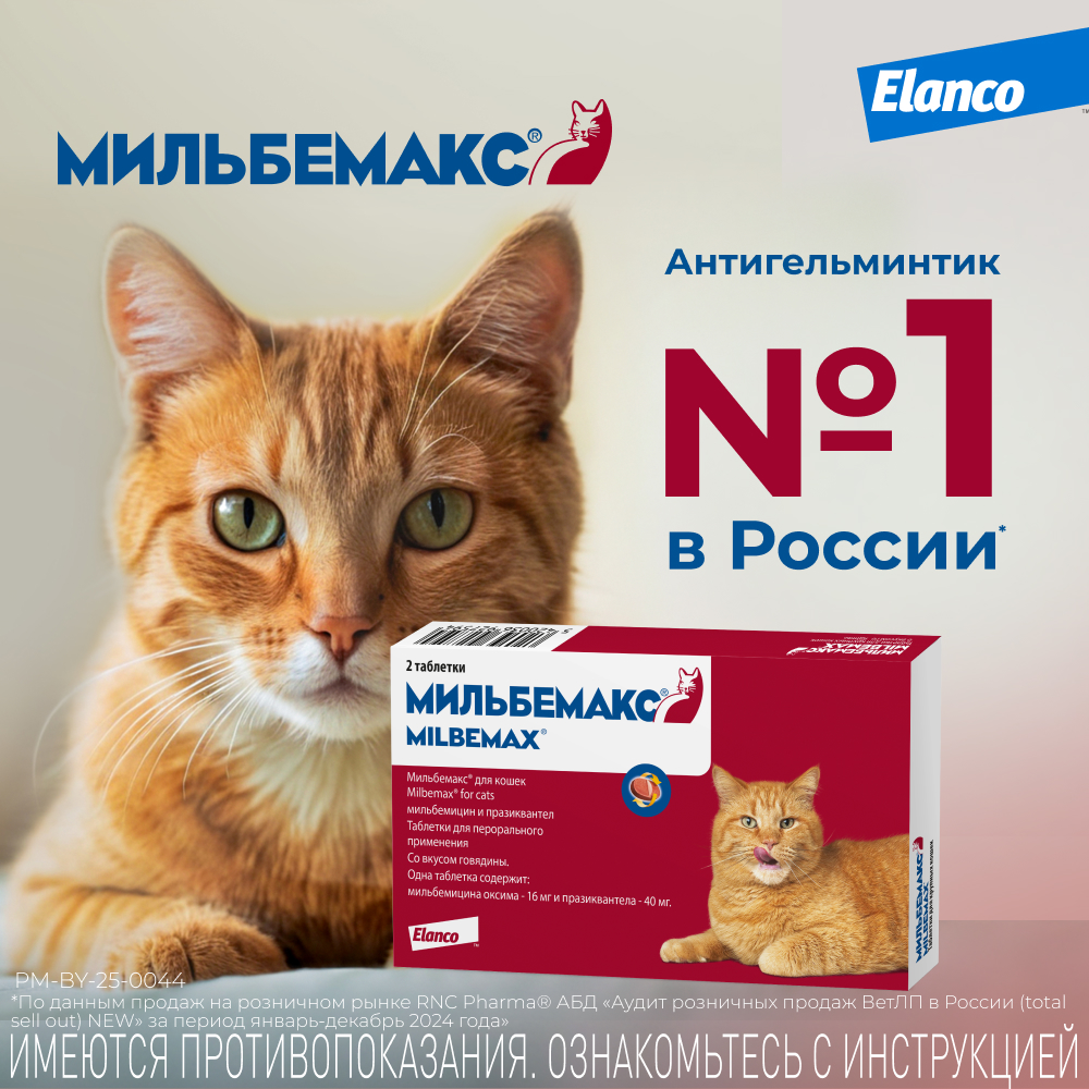 Мильбемакс таблетки антигельминтные для кошек 4-8 кг, 2 таблетка