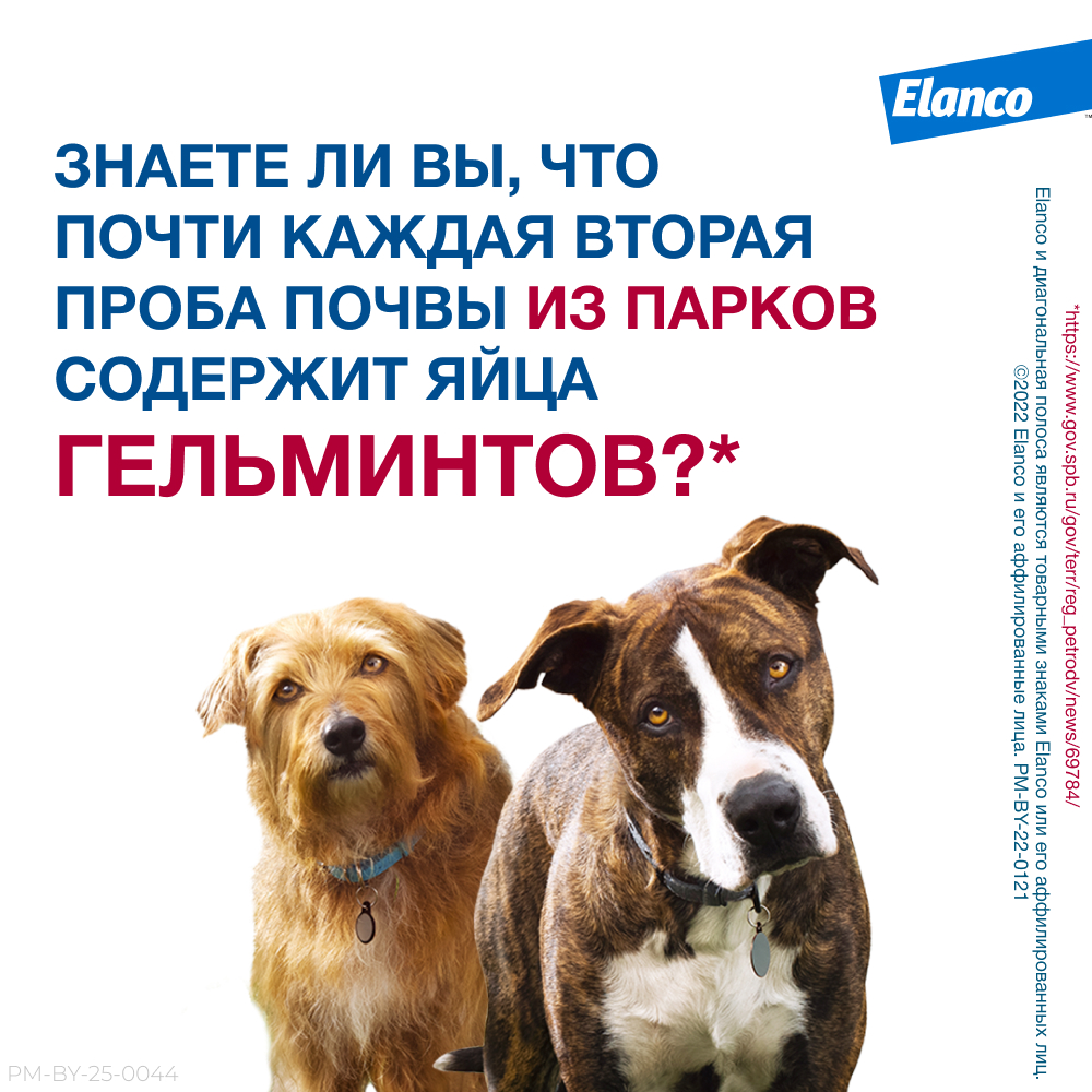 Мильбемакс таблетки антигельминтные для собак 5-25 кг, 2 таблетки