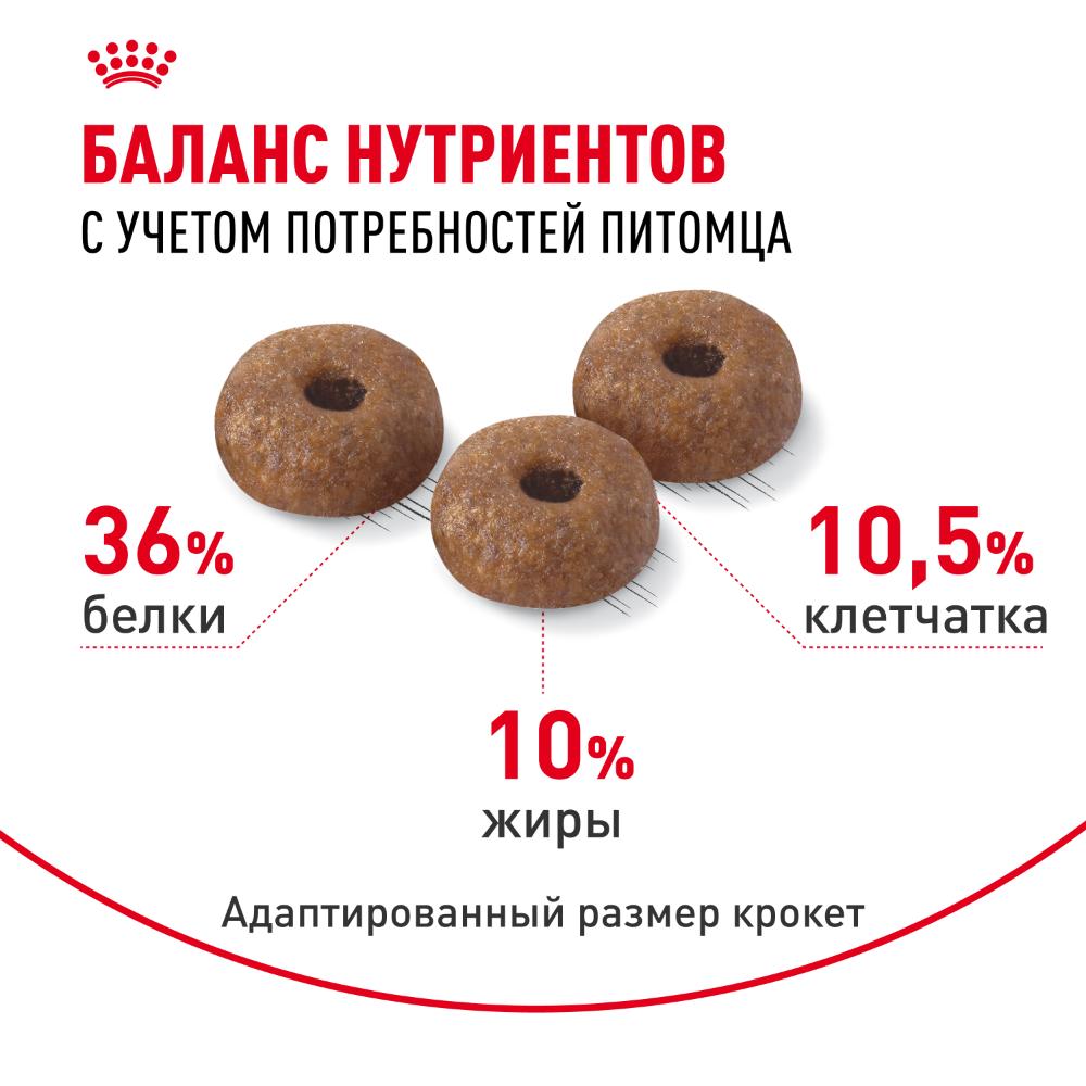 Royal Canin сухой корм для кошек для профилактики лишнего веса, Light Weight Care, 400 г