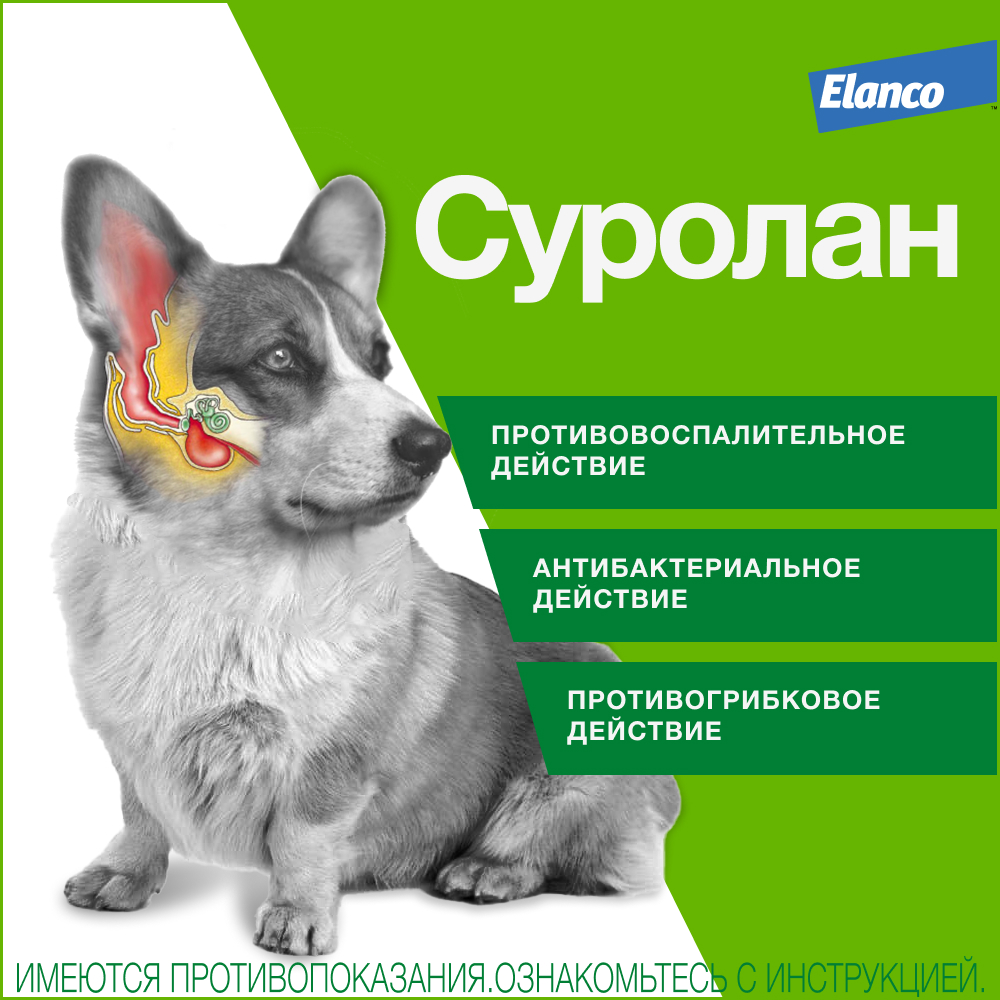 Суролан ушные капли, 30 мл