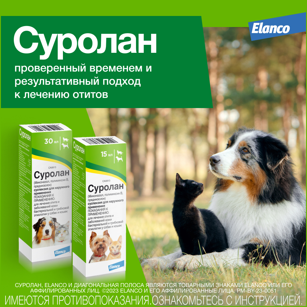 Суролан ушные капли, 30 мл