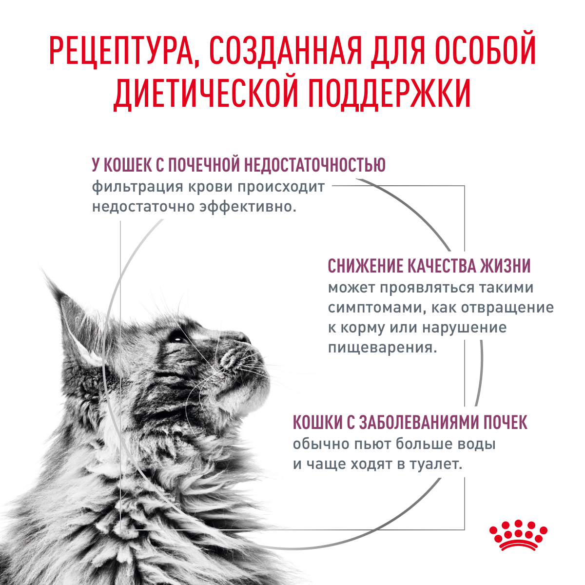 Royal Canin Корм влажный для кошек для поддержания функции почек, RENAL, курица, 85 г