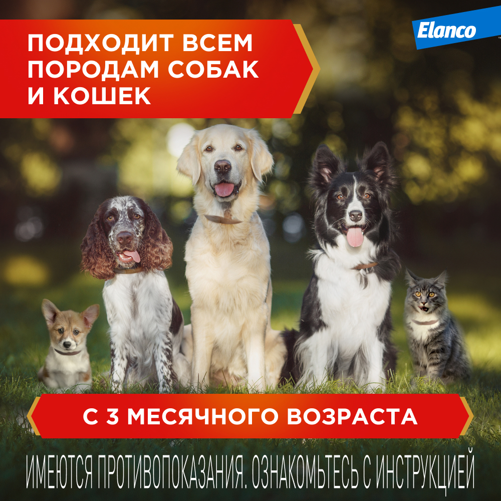 Bolfo (Больфо) ошейник инсектоакарицидный для кошек и собак, 38 см