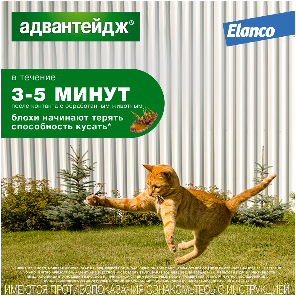 Advantage 40 капли инсектицидные для кошек до 4 кг, 4 пипетки