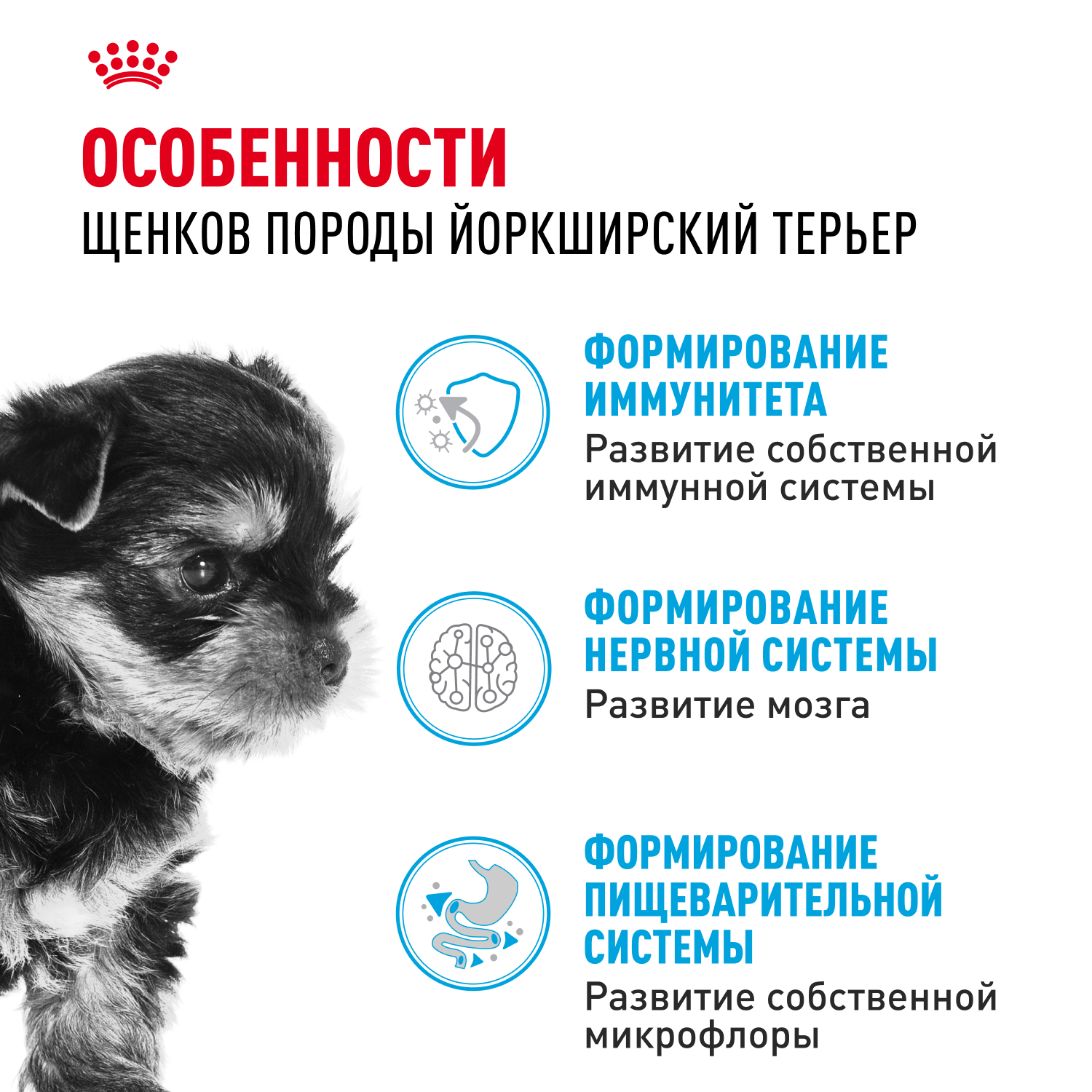 Royal Canin сухой корм для щенков породы породы Йоркширский Терьер до 10 месяцев, Yorkshire Terrier Puppy, 500 г