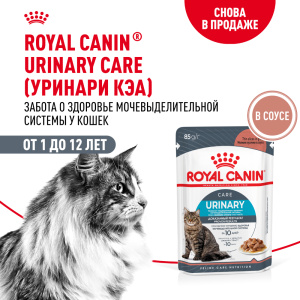 Royal Canin консервированный корм  для взрослых кошек, URINARY CARE, соус, 85 г