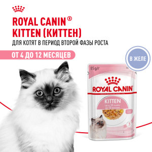 Royal Canin консервированный корм для котят, Киттен Инстинктив в желе, пауч, 85 г