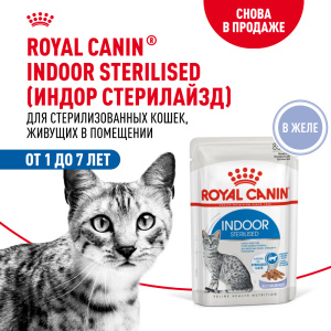 Royal Canin консервированный корм для кошек, Индор стерилайзед в желе, 85 г