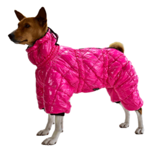 JackyDog МП комбинезон Супер Премиум с высоким воротником на флисе и синтепоне №22 40 см девочка