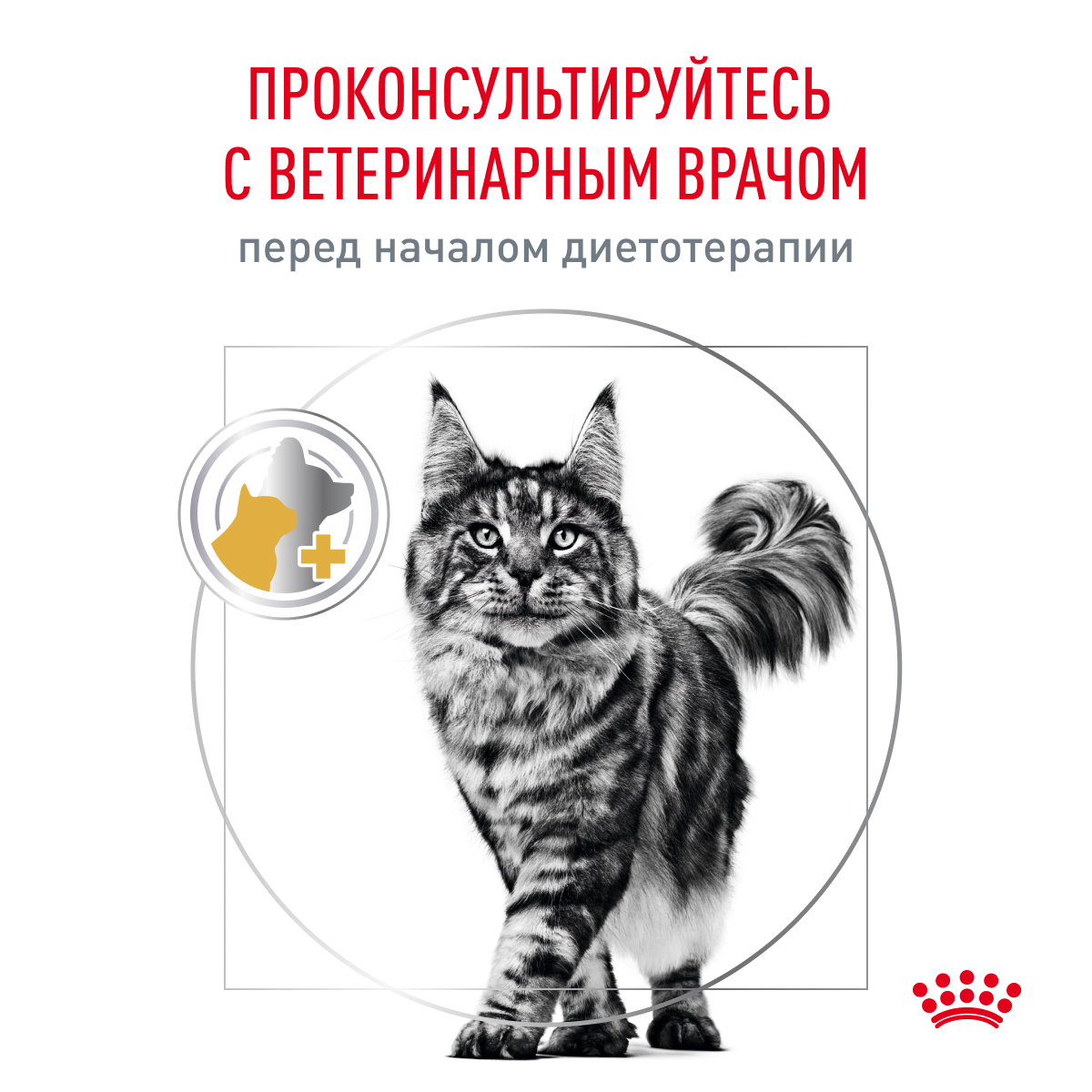 Royal Canin Корм сухой для взрослых кошек, склонных к набору веса, при мочекаменной болезни, URINARY S/O MODERATE CALORIE (УРИНАРИ С/О МОДЕРЕЙТ КЭЛОРИ), 350 г