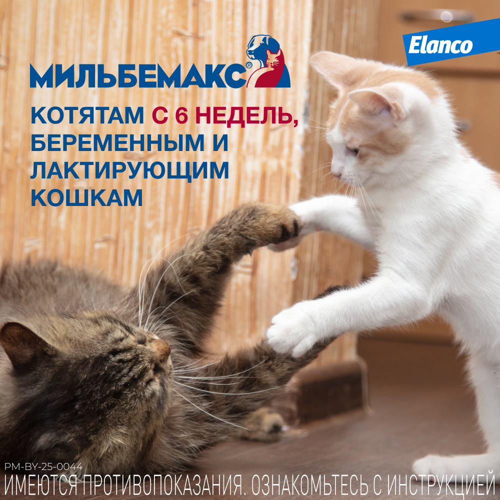 Мильбемакс таблетки антигельминтные для кошек 4-8 кг, 2 таблетка
