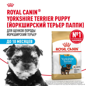Royal Canin сухой корм для щенков породы породы Йоркширский Терьер до 10 месяцев, Yorkshire Terrier Puppy, 500 г