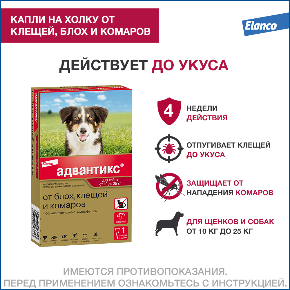 Адвантикс 250 капли инсектоакарицидные для собак 10-25 кг 1 уп. (1 пип)