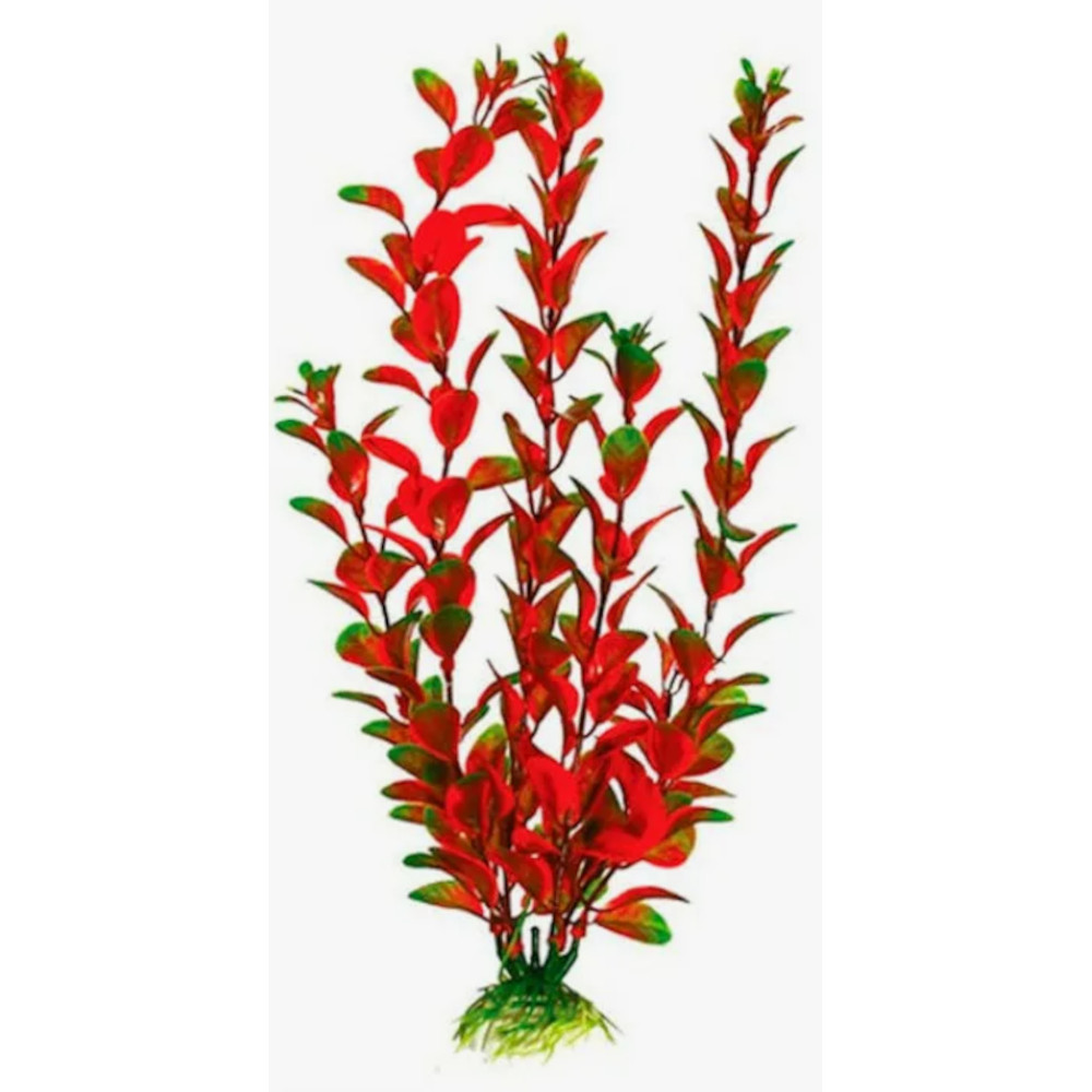 Laguna Растение Людвигия, красная, 10 см<
