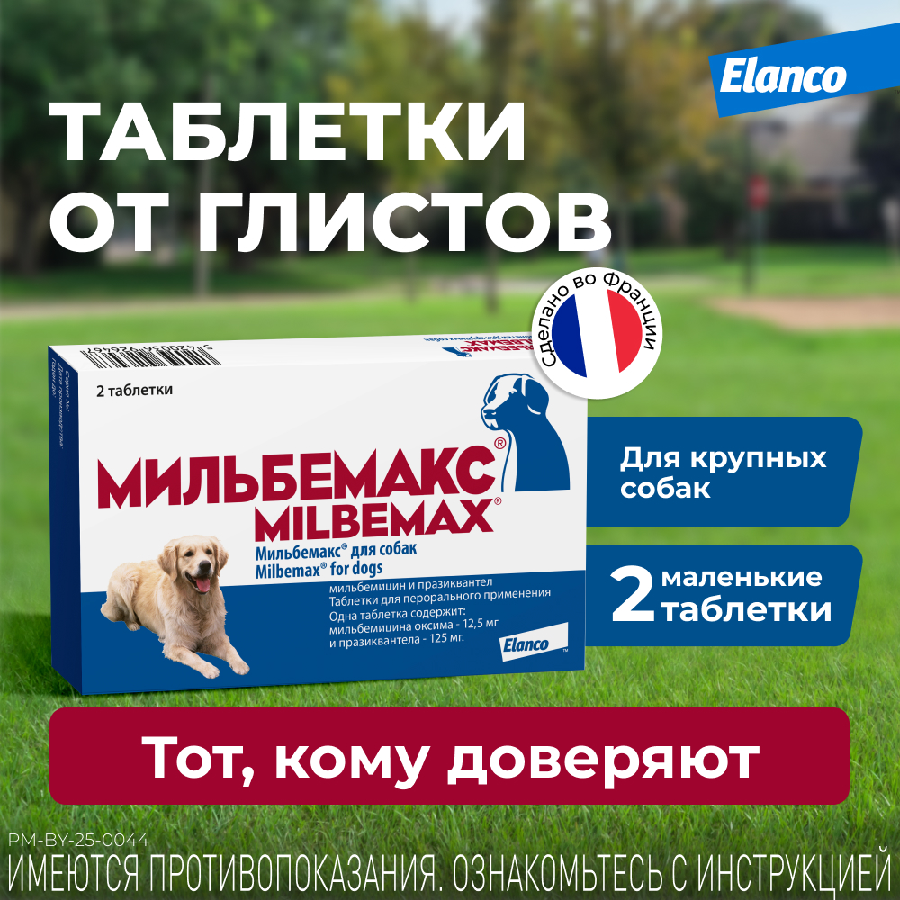 Мильбемакс таблетки антигельминтные для собак 5-25 кг, 2 таблетки<