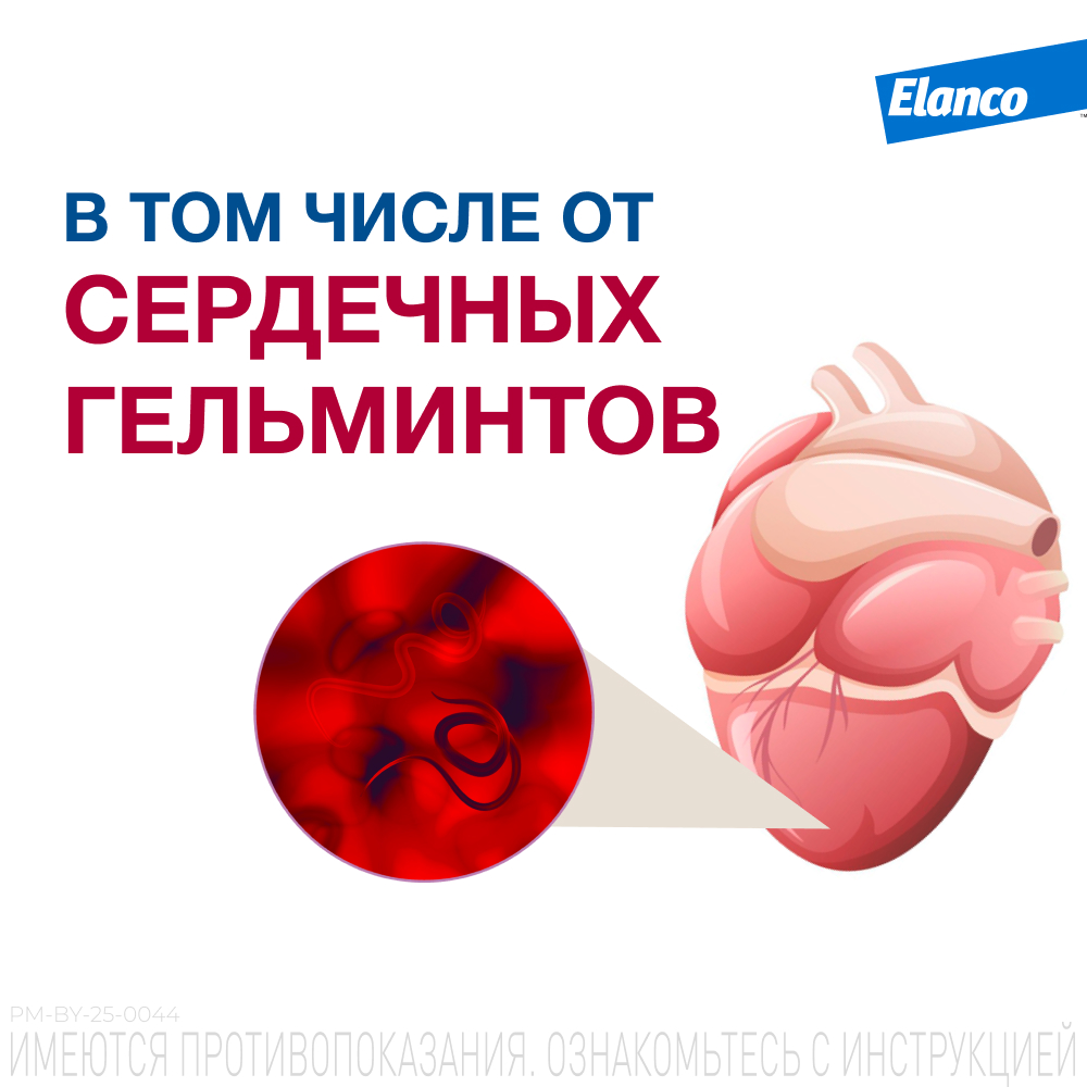 Мильбемакс таблетки антигельминтные для собак 5-25 кг, 2 таблетки