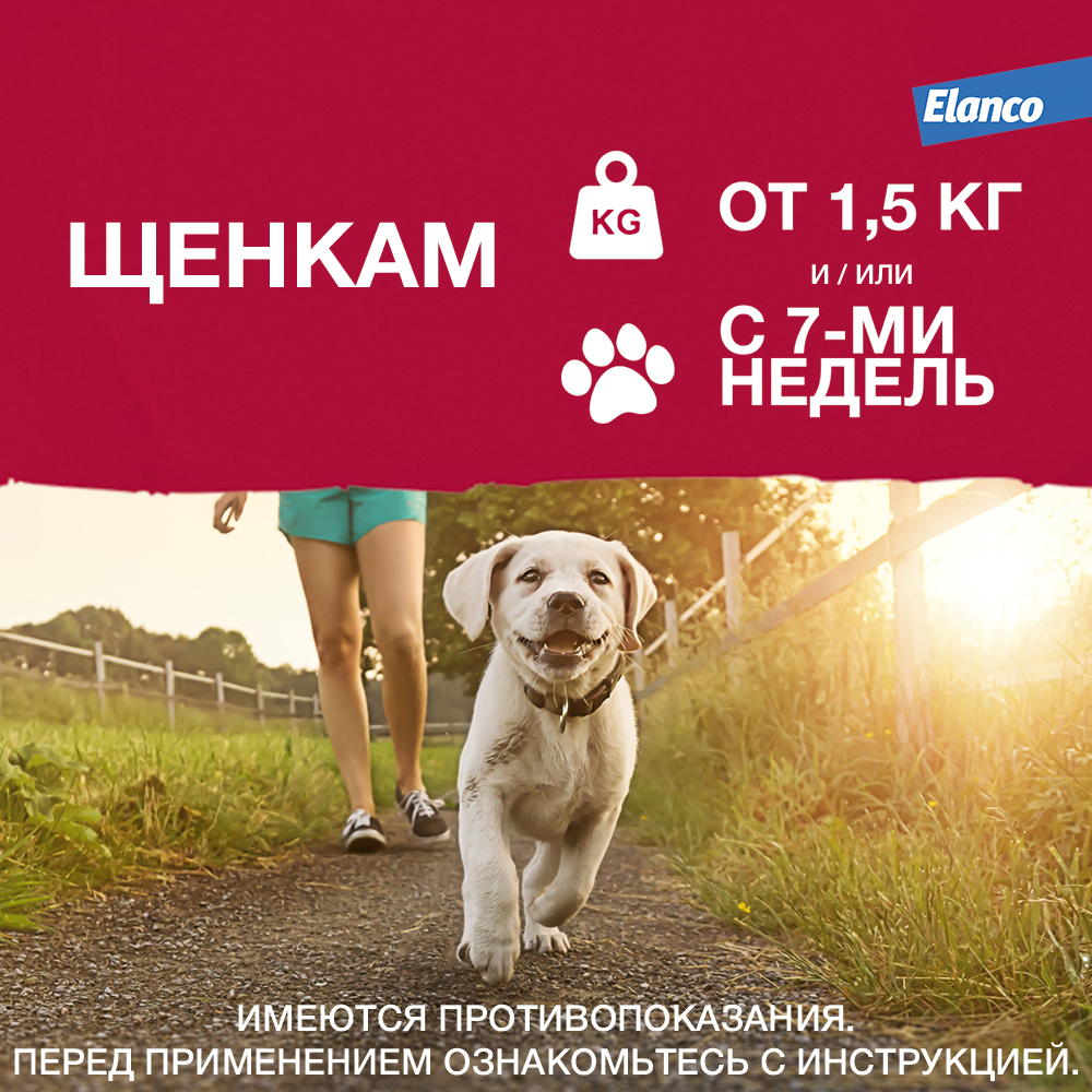 Адвантикс 250 капли инсектоакарицидные для собак 10-25 кг 1 уп. (1 пип)