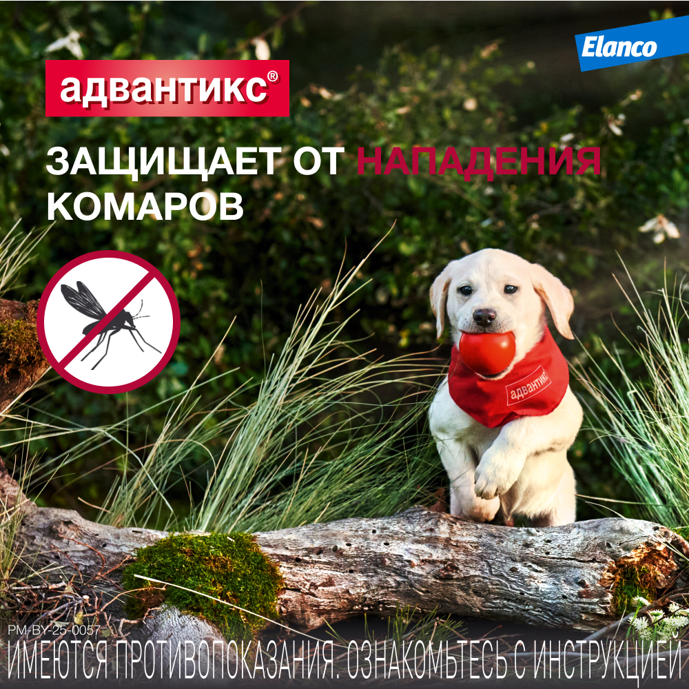 Адвантикс 40 капли инсектоакарицидные для собак до 4 кг 1 уп. (1 пип)