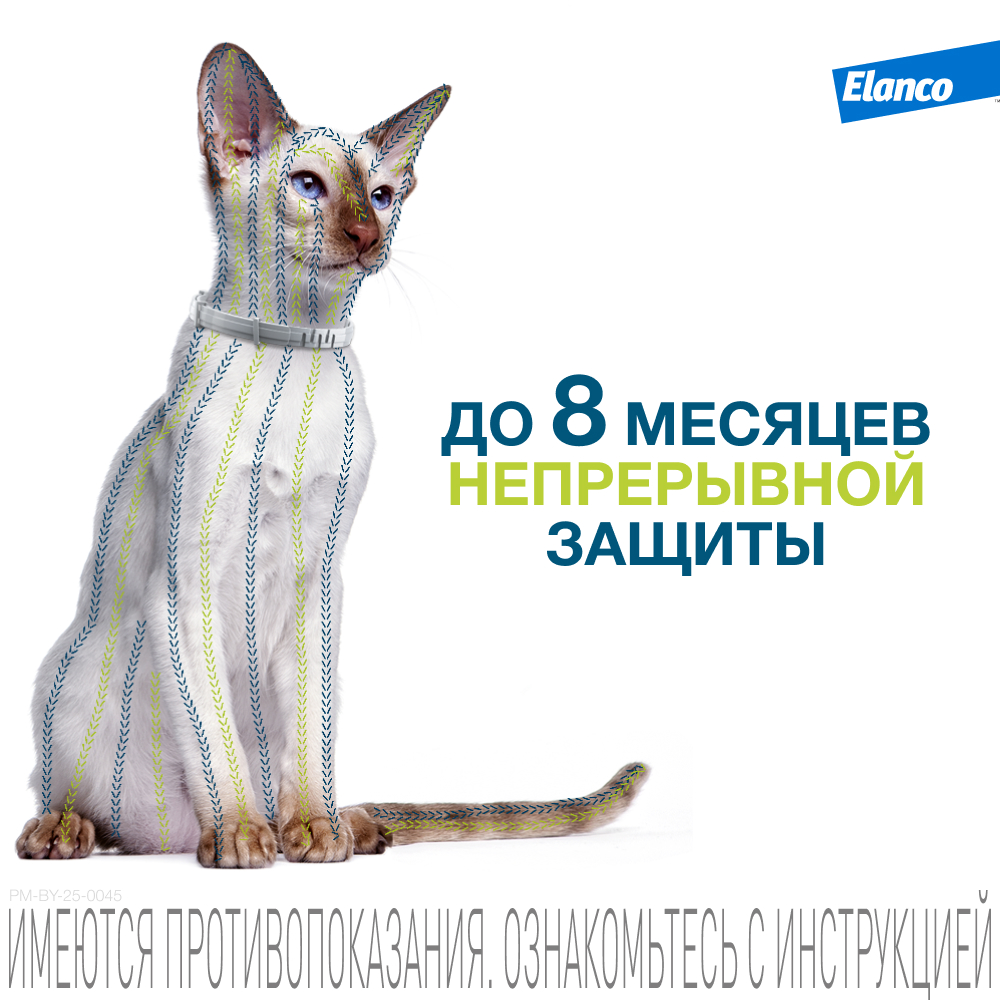 Foresto ошейник инсектоакарицидный для кошек, 38 см