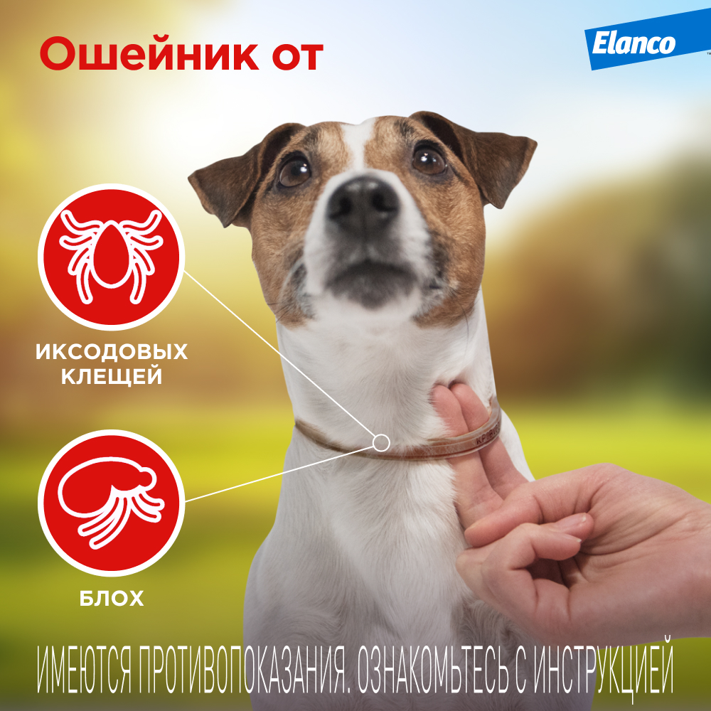 Bolfo (Больфо) ошейник инсектоакарицидный для кошек и собак, 38 см