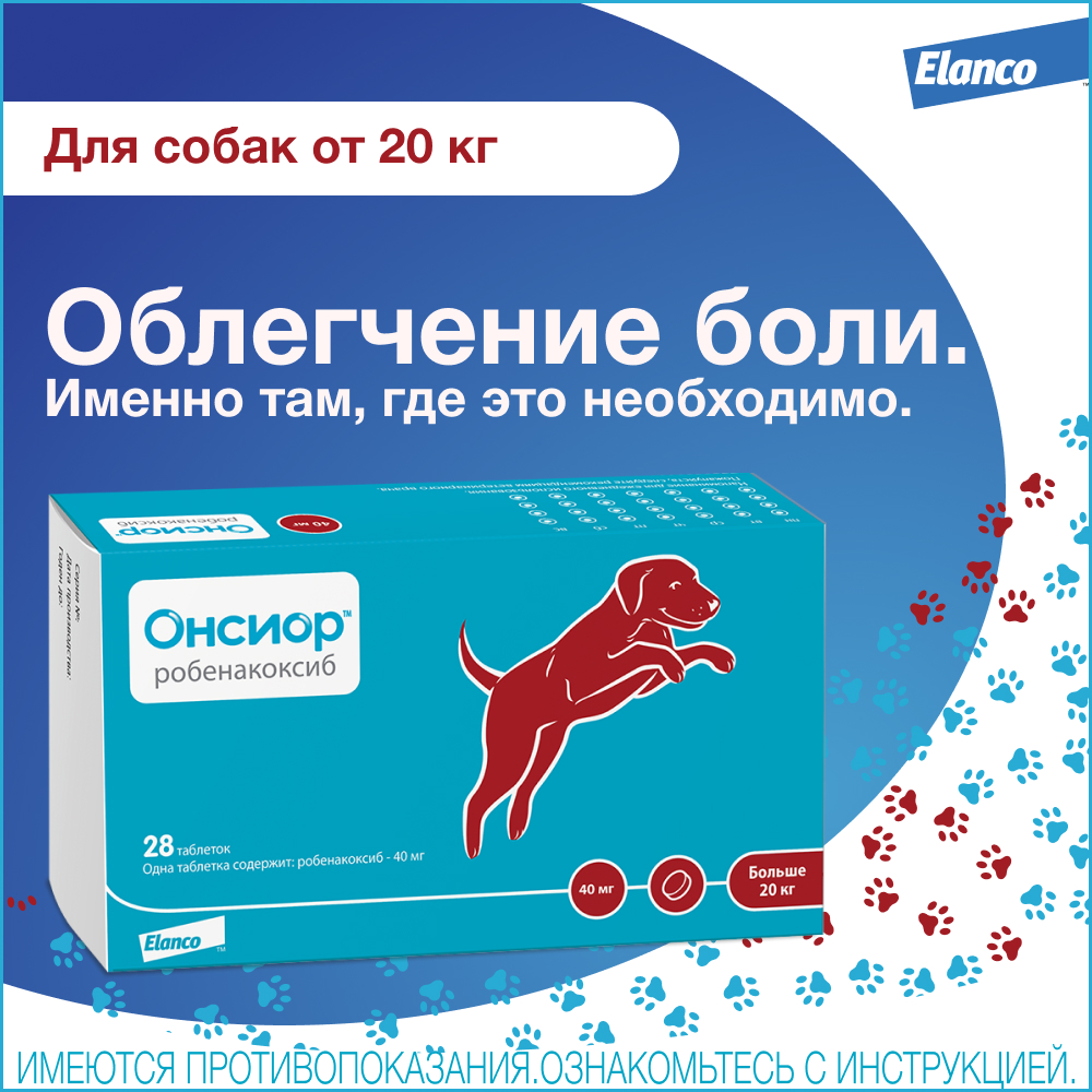 Онсиор противовоспалительный препарат для собак, 1 блистер, 40 мг