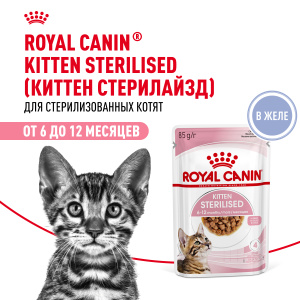 Royal Canin консервированный корм для стерилизованных котят, в желе, Kitten Sterilised, 85 г