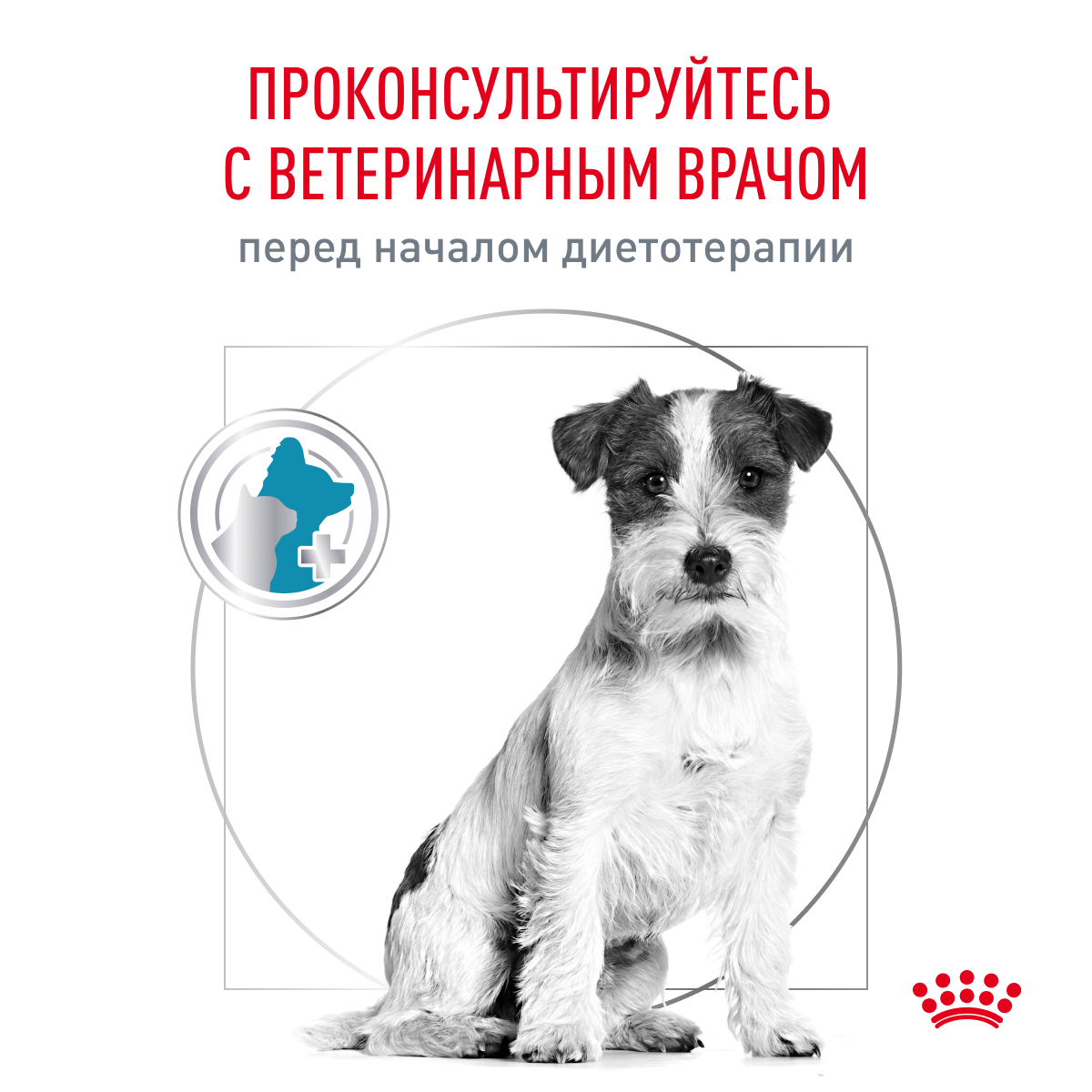 Royal Canin Корм сухой для взрослых собак мелких пород при пищевой аллергии, HYPOALLERGENIC SMALL DOGS, 3,5 кг