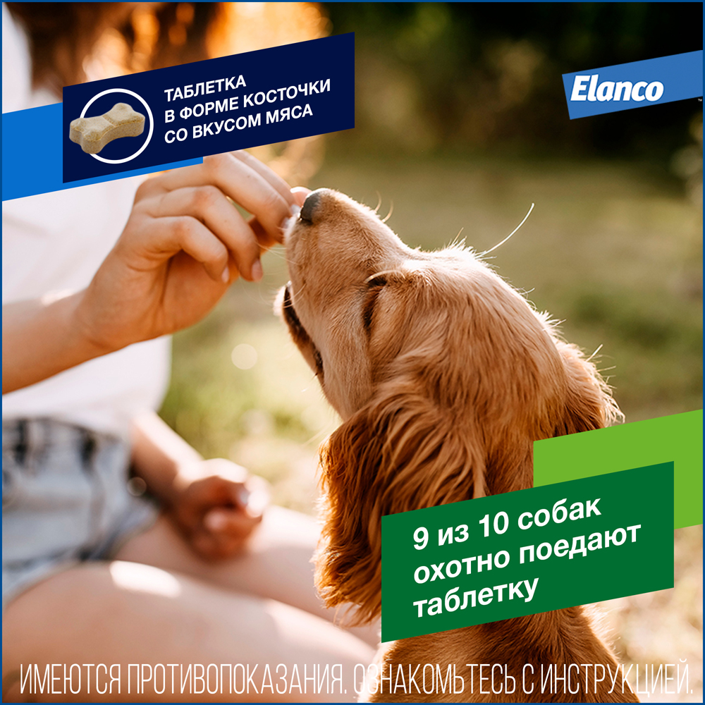 Дронтал Плюс таблетки антигельминтные для собак 10 кг, 2 таблетки