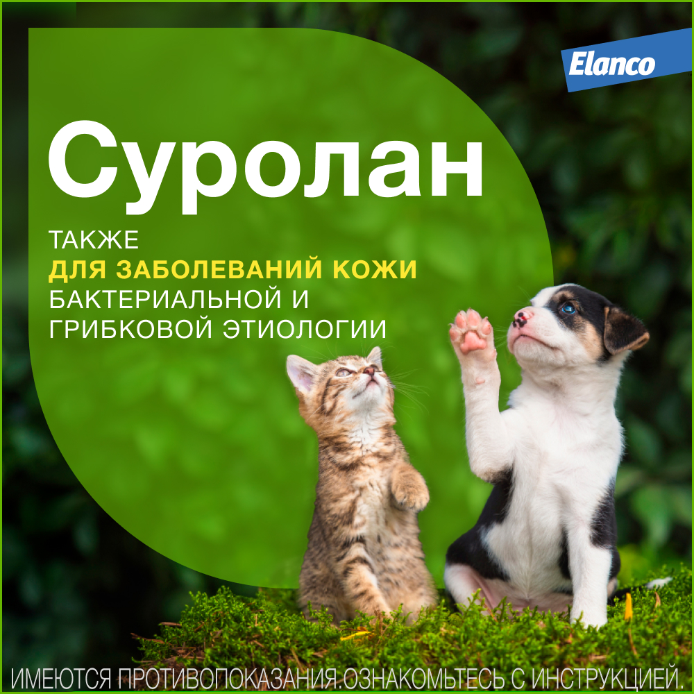 Суролан ушные капли, 30 мл